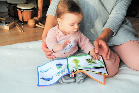 Erstes Buch
